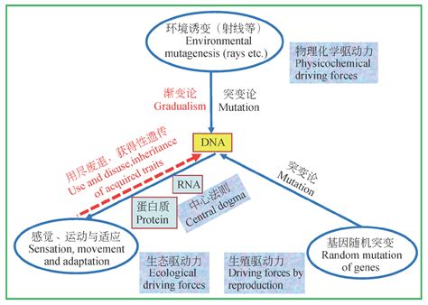 泛生論|泛生論:背景,理論概述,分布,遺傳與性狀,兩種遺傳,泛生論,其它,